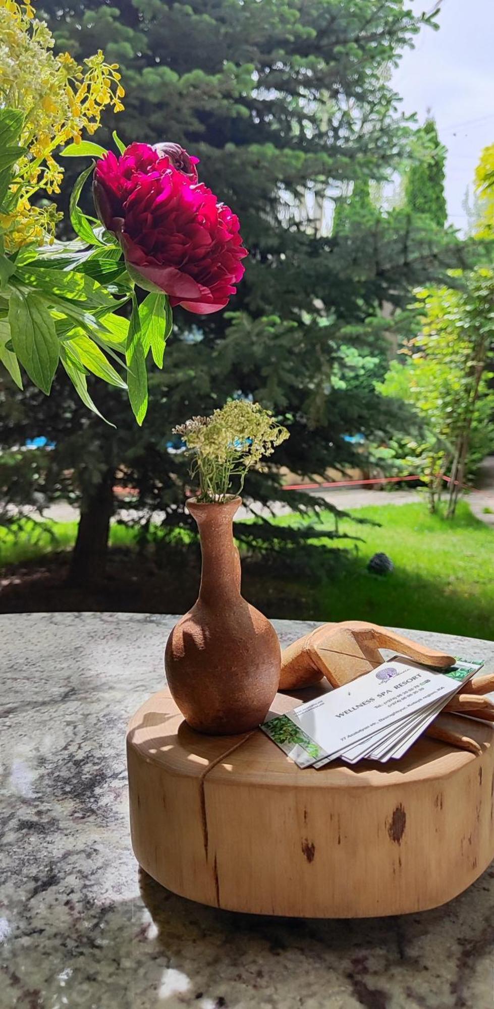 Aya Maria Wellness SPA Resort Dzoraghpʼyur Exterior foto