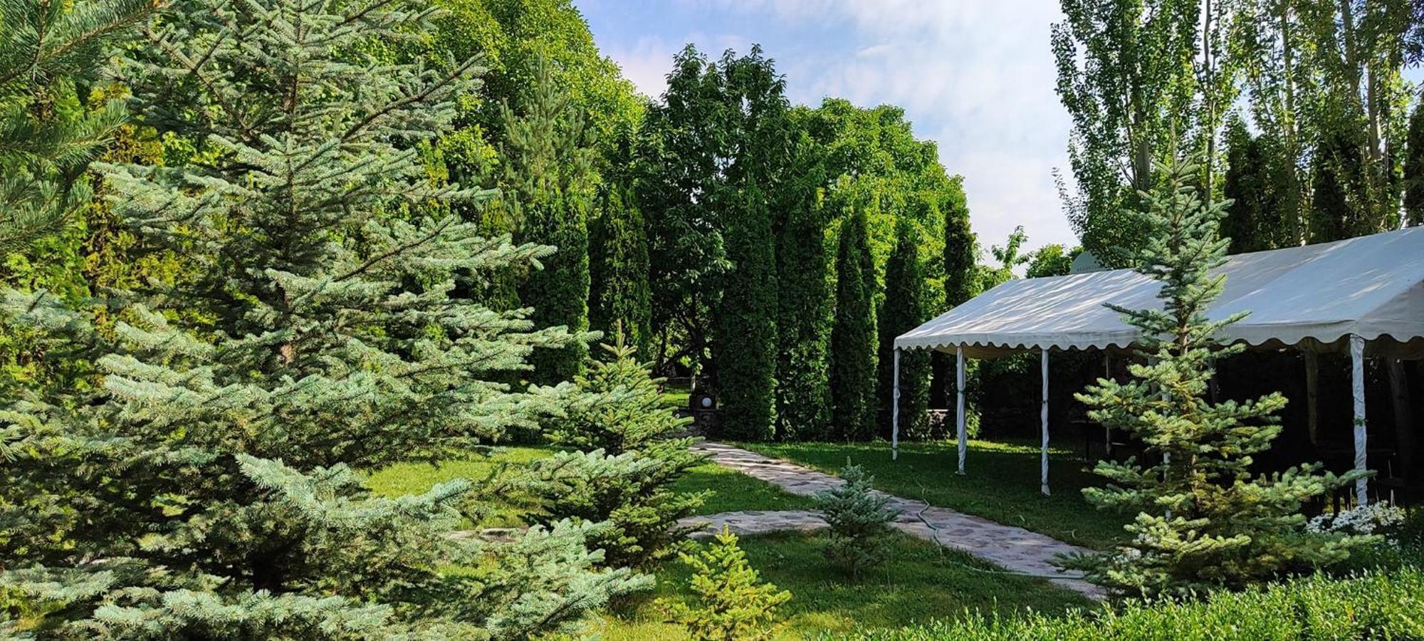 Aya Maria Wellness SPA Resort Dzoraghpʼyur Exterior foto